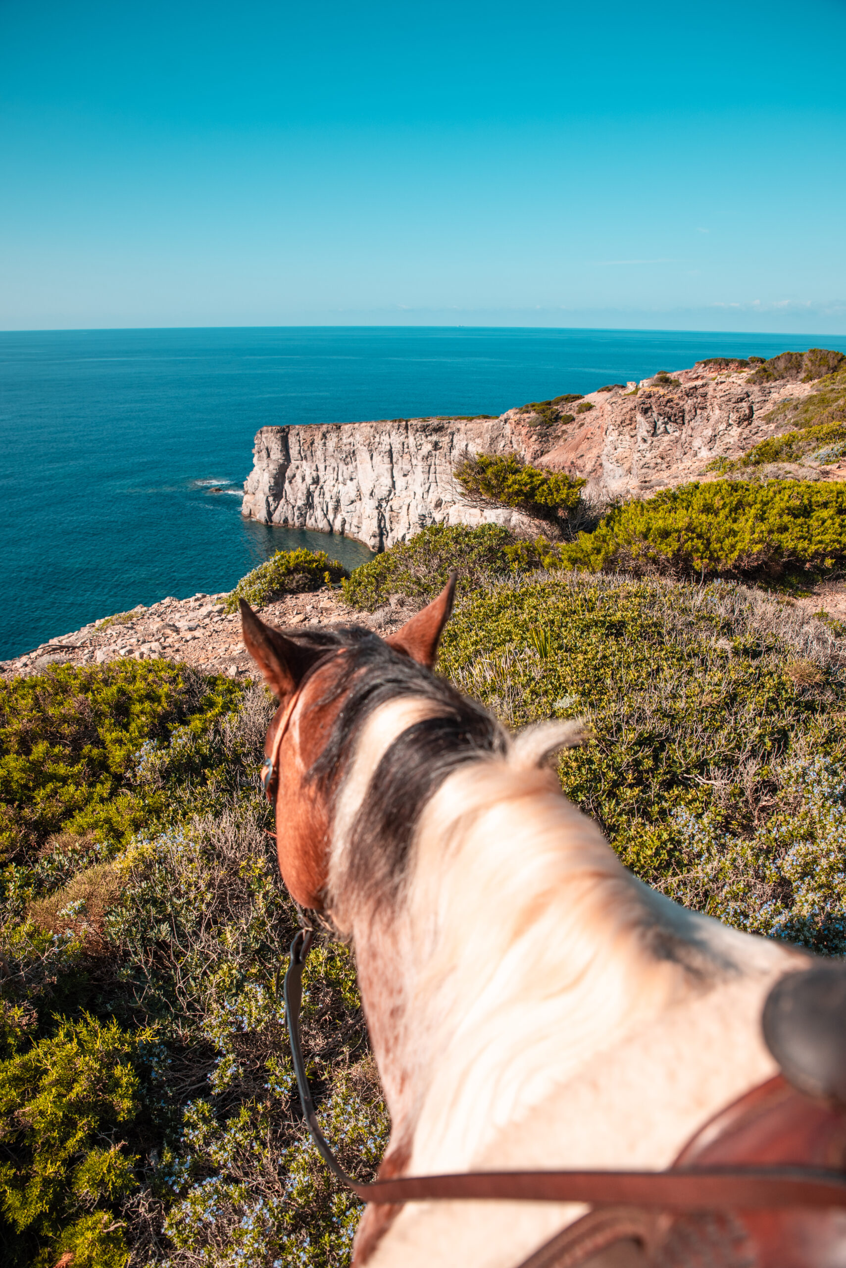 Paseo a caballo + aventura en quad (x2 personas) - Imagen 16
