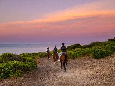 Paseo a caballo al amanecer (Exclusivo x2 personas)