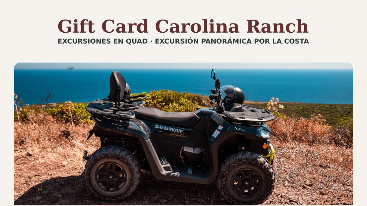 Excursión panorámica en quad