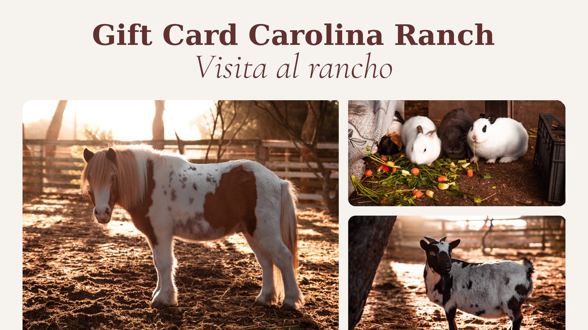 Visita al rancho